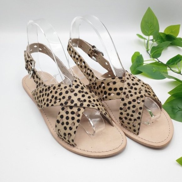 Matisse Shoes - Matisse Leopard Arielle Cow Hair Sandals 9M‎ NEW
